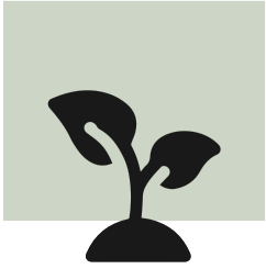 ikona